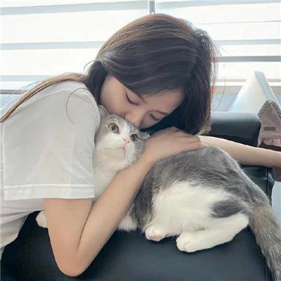 卡特探员